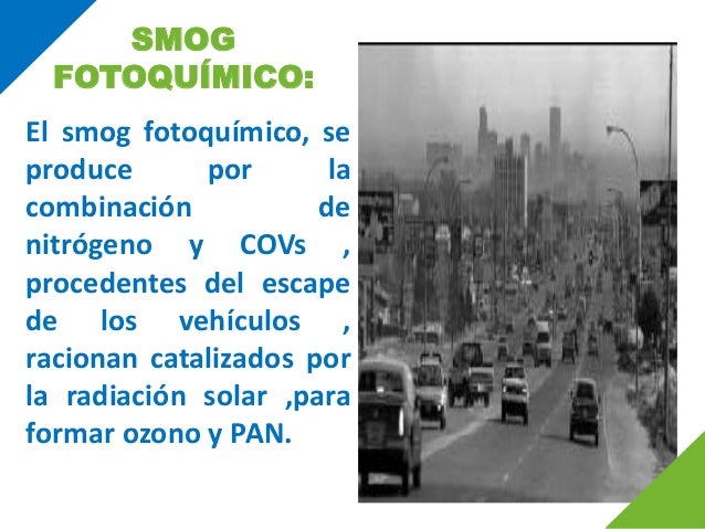 Smog fotoquimico efectos en el medio ambiente 7 Smog fotoquimico efectos en el medio ambiente 81